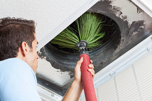 Best Commercial Air Duct Cleaning  in Terre Haute, IN
